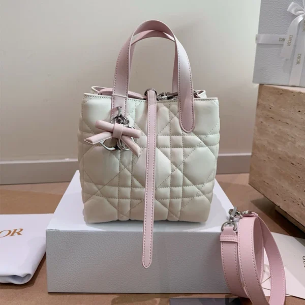 Small Dior Toujours Vertical Tote Bag bow with box wp