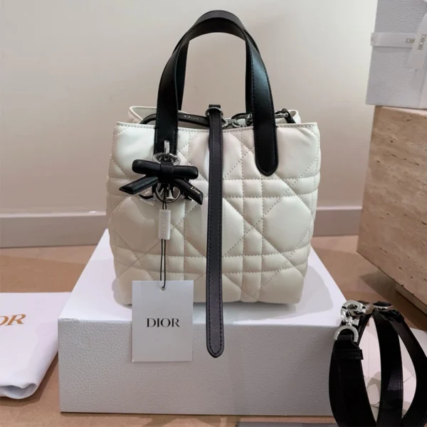 Small Dior Toujours Vertical Tote Bag bow with box wb